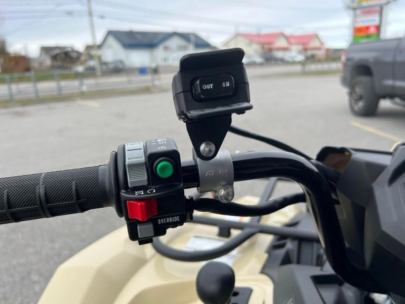 2025 Yamaha Kodiak 450 Dae Se alt