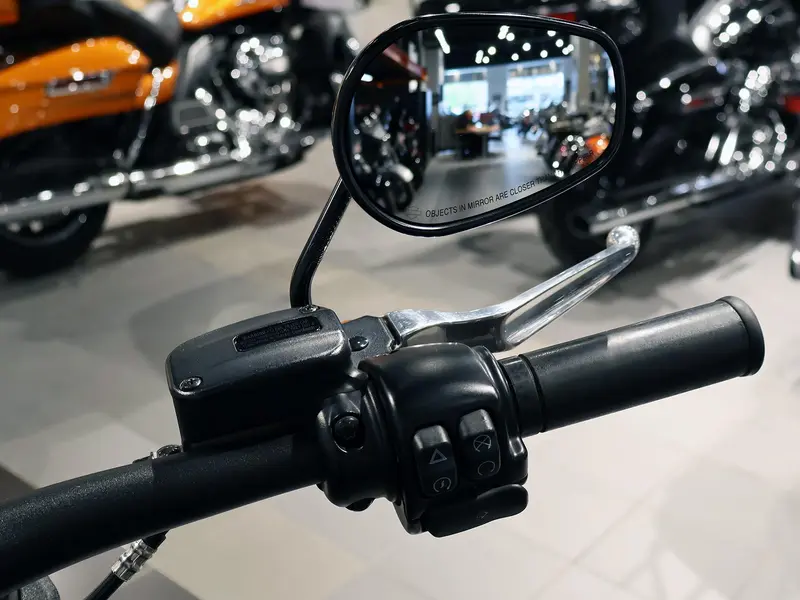 2020 Harley-Davidson Fat Bob FXFBS