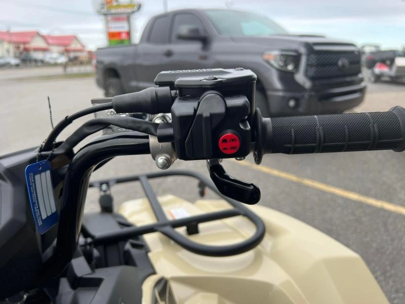 2025 Yamaha Kodiak 450 Dae Se alt