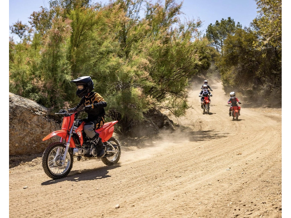 Honda Crf110f 2025 alt