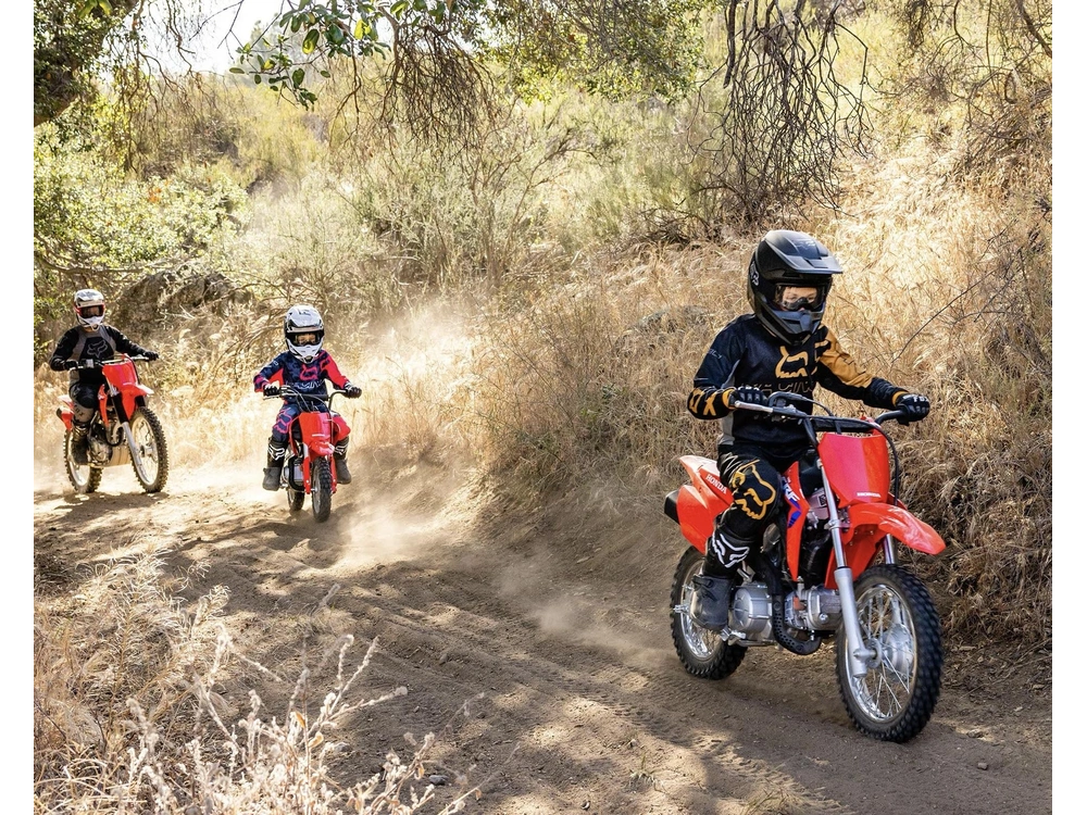 Honda Crf110f 2025 alt