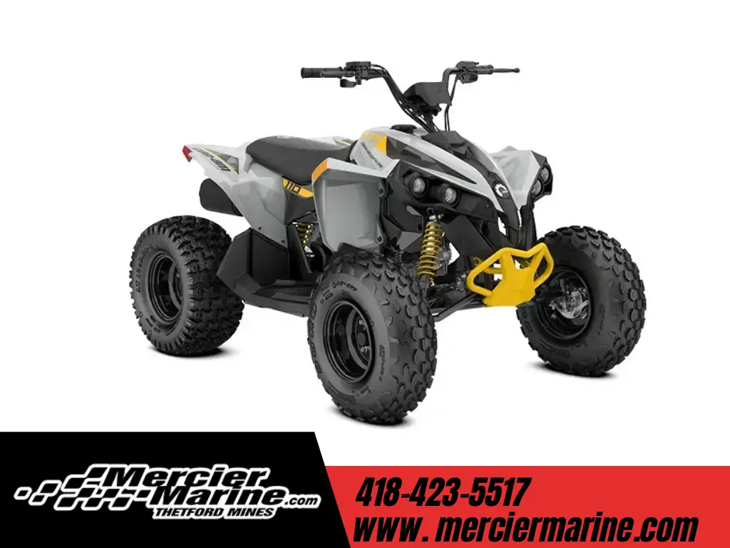 Can-Am Renegade 110 EFI 2025