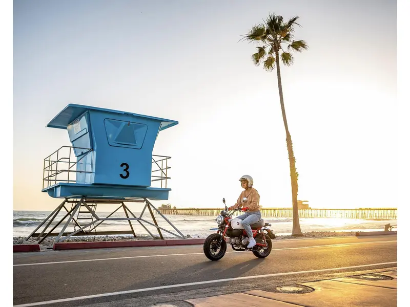 2025 Honda Z125 MONKEY