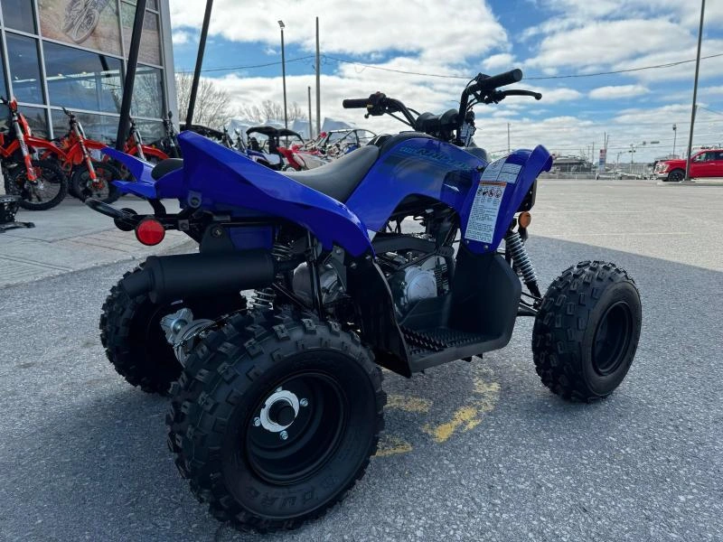 Yamaha Raptor 110 2025 alt