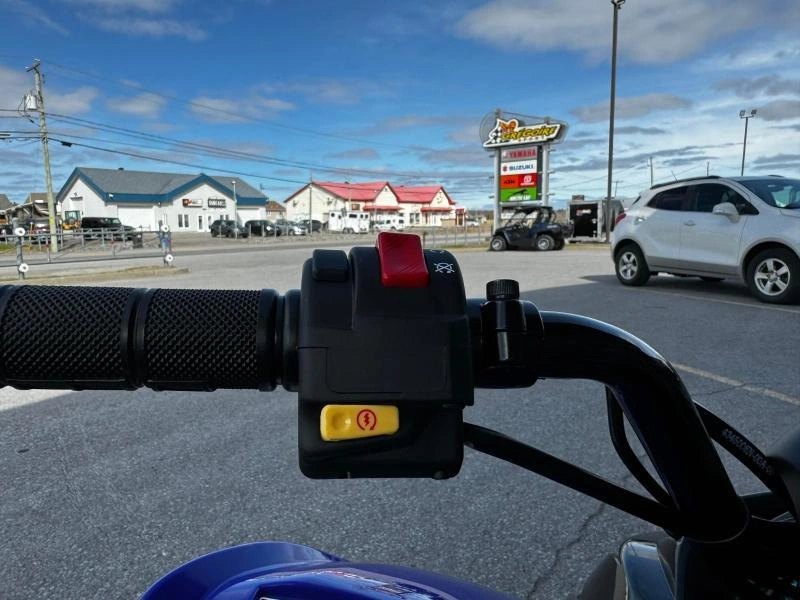 Yamaha Raptor 110 2025 alt