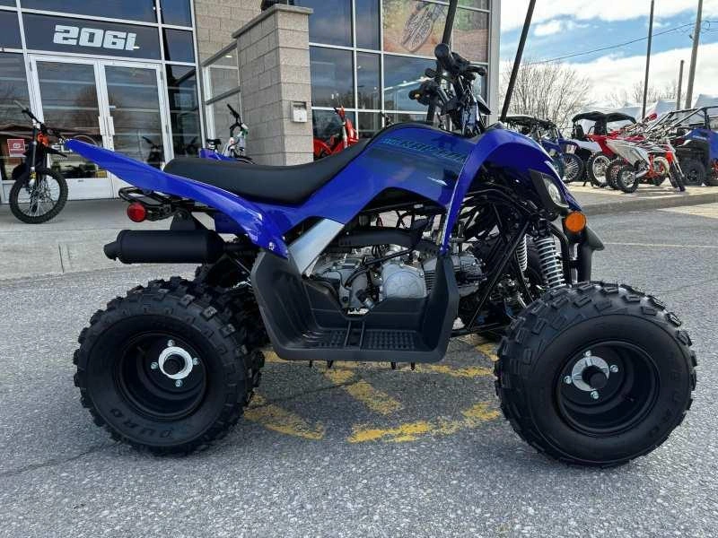 Yamaha Raptor 110 2025 alt