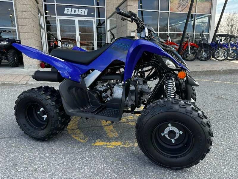 Yamaha Raptor 110 2025 alt