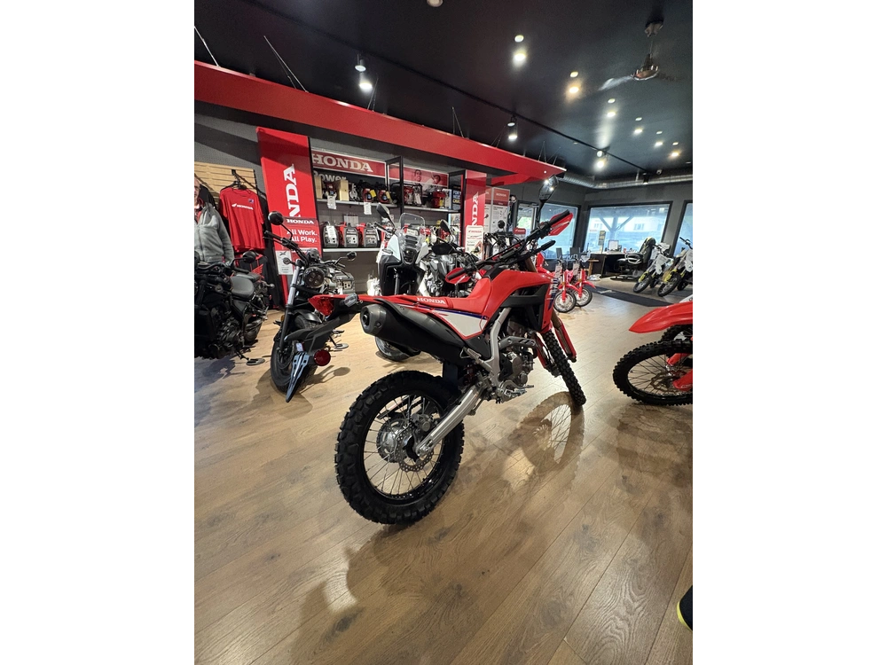 2025 Honda Crf 300 Las alt