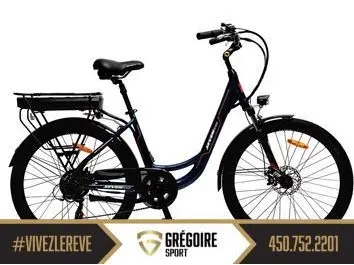 2024 Seven Peaks E-ONE 6 350W 17
