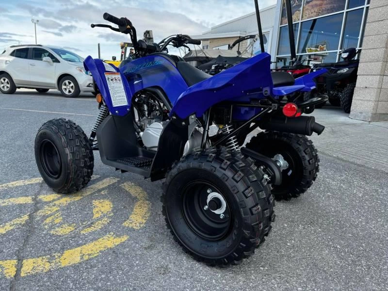 Yamaha Raptor 110 2025 alt