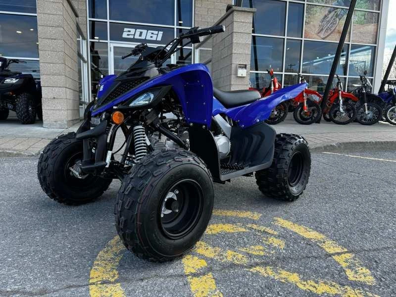 Yamaha Raptor 110 2025 alt