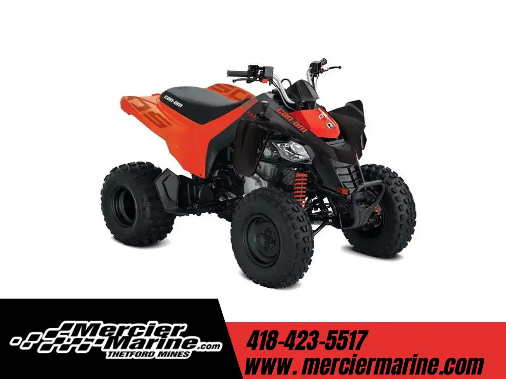 Can-Am DS 250 2025