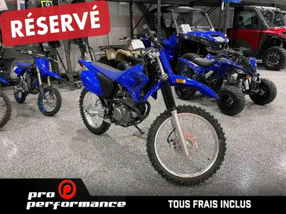 2024 Yamaha TT-R 230 