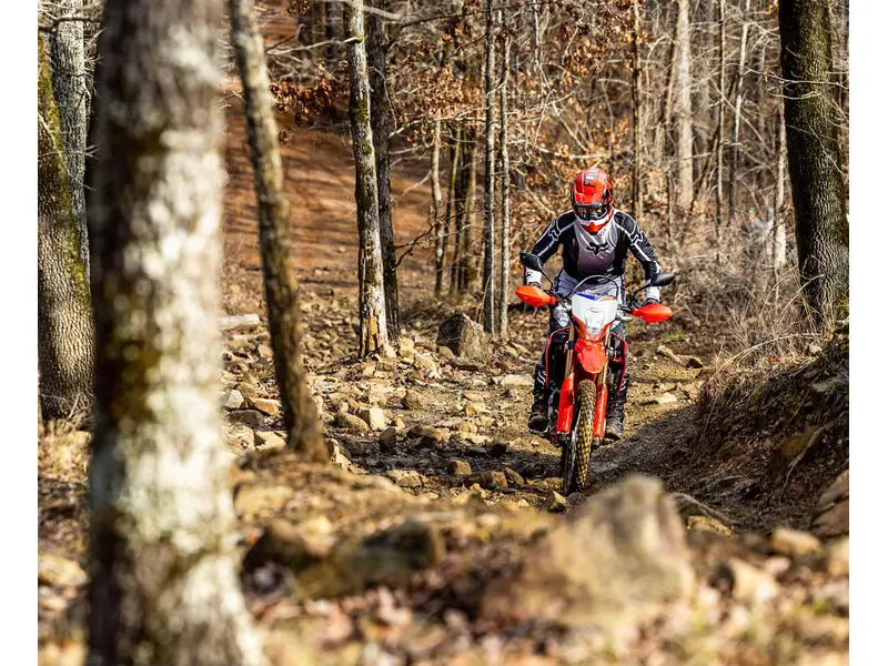2025 Honda CRF 300L
