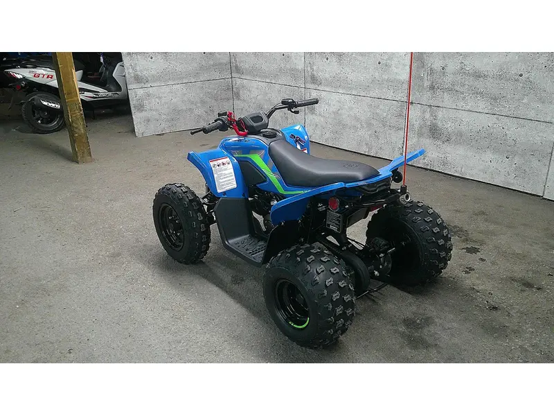 2025 CFMOTO CFORCE 110