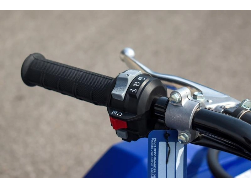 2025 Yamaha Kodiak 450 alt