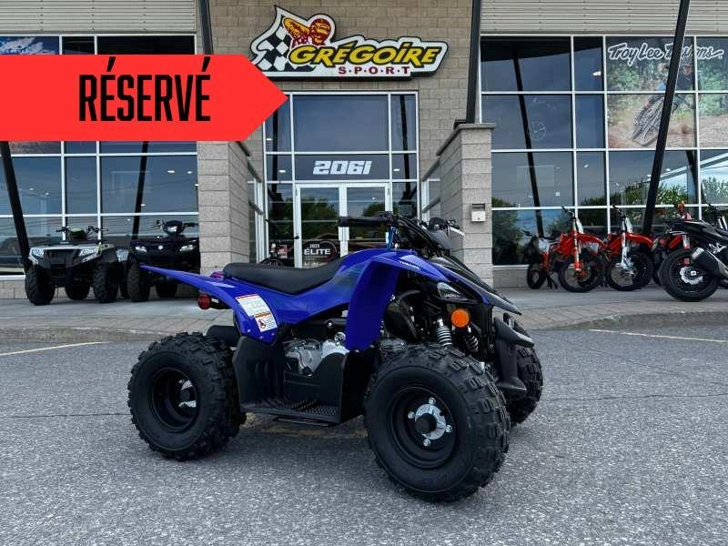 2025 Yamaha Yfz50 alt