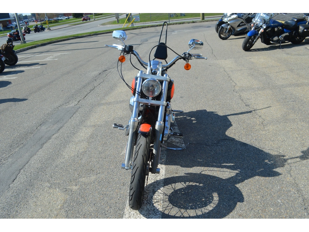 Harley-davidson Fxdl 2008 alt