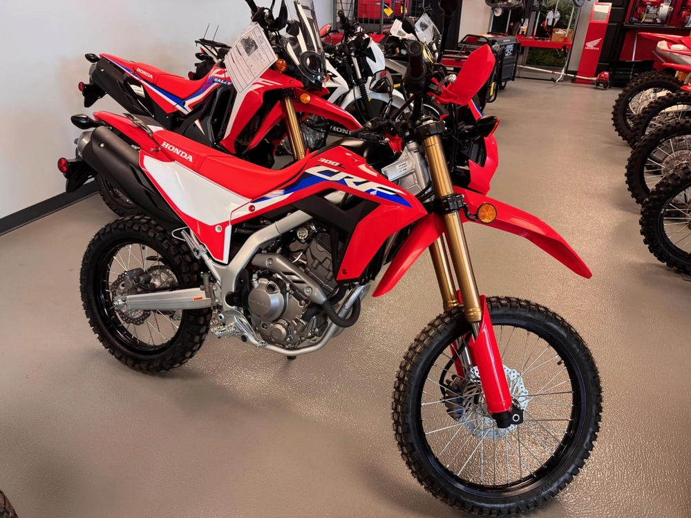Honda Honda Crf300l Abs 2025 alt