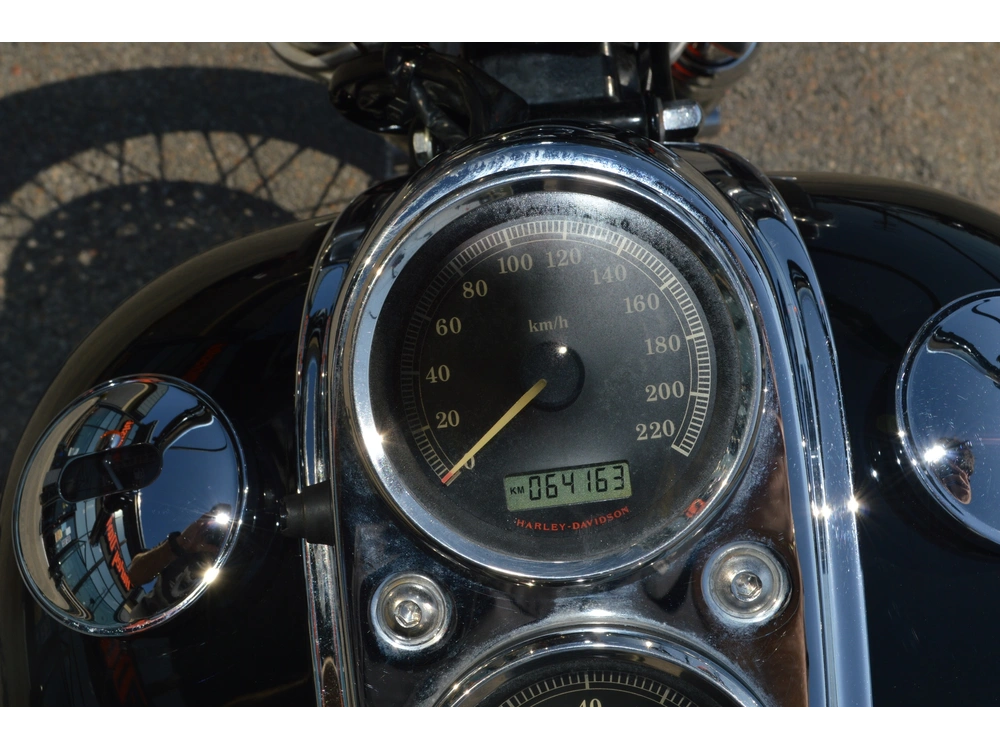 Harley-davidson Fxdl 2008 alt
