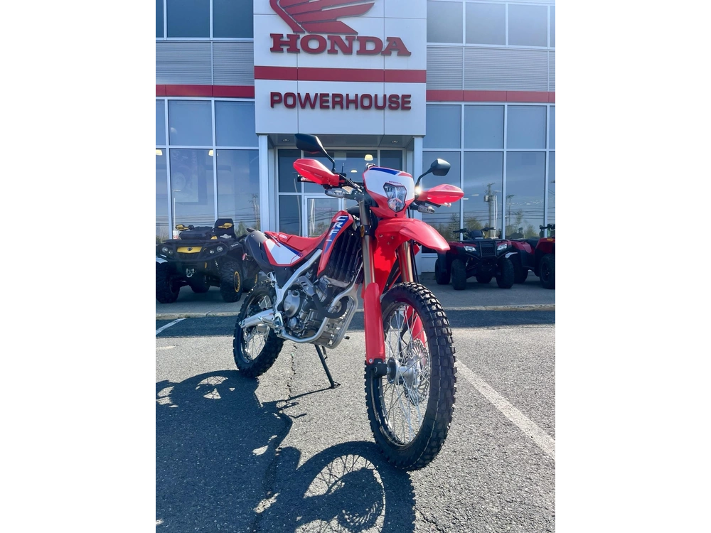 Honda Crf300l 2025 alt