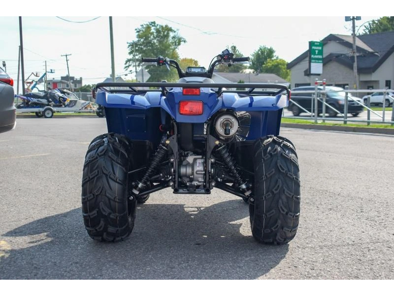 2025 Yamaha Kodiak 450 alt
