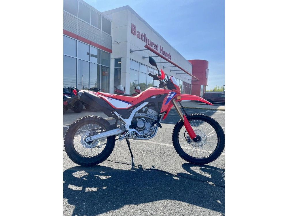 Honda Crf300l 2025 alt