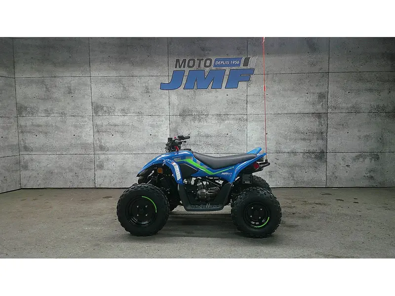 2025 CFMOTO CFORCE 110