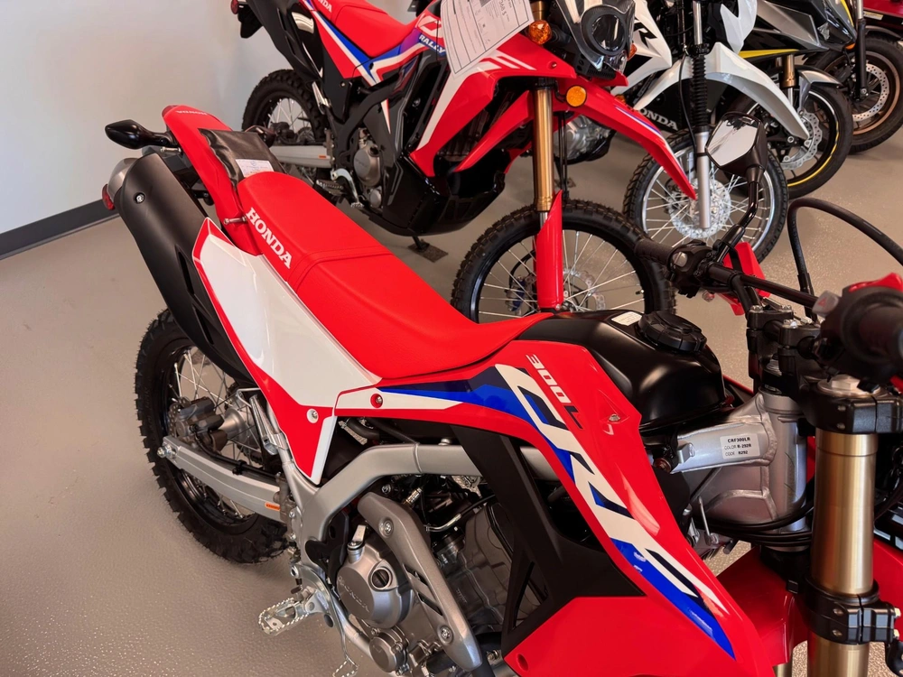 Honda Honda Crf300l Abs 2025 alt