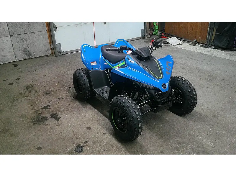 2025 CFMOTO CFORCE 110