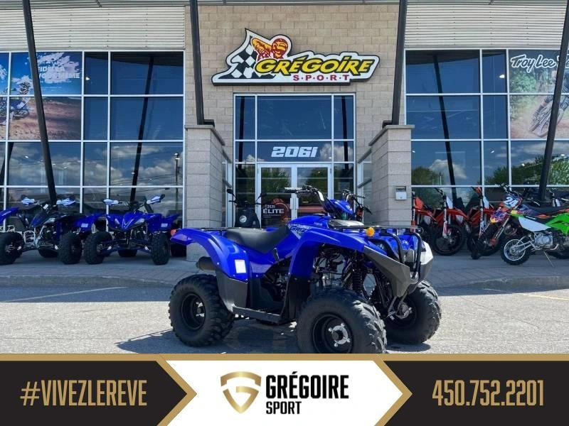 Yamaha Grizzly 110 2025 alt