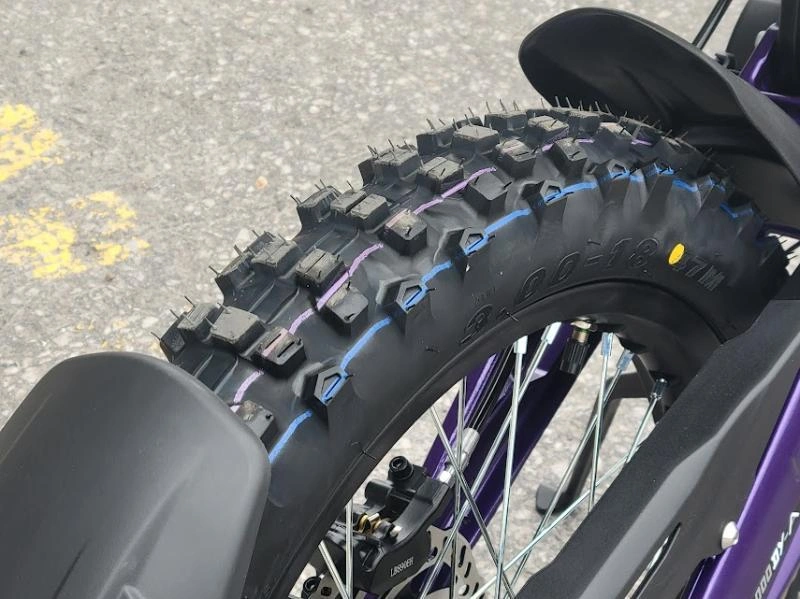 2025 Sur Ron Light Bee X alt