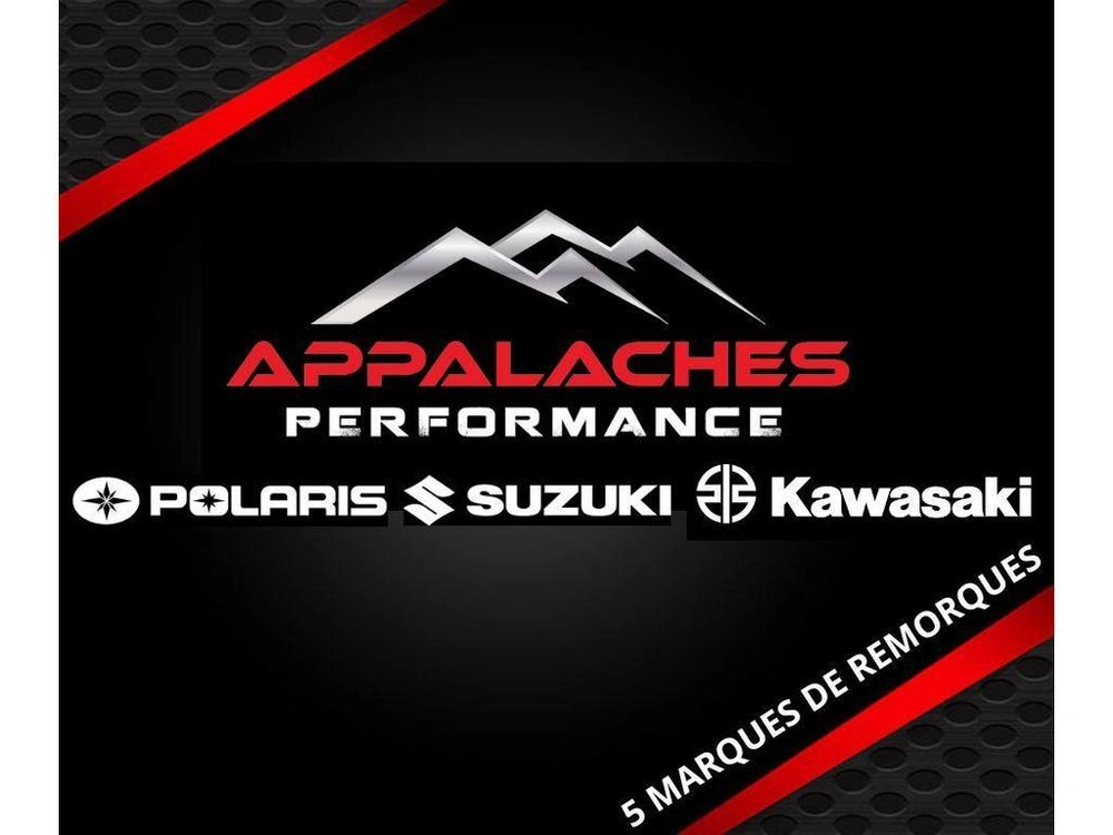 Suzuki Kingquad 500x 2024 alt