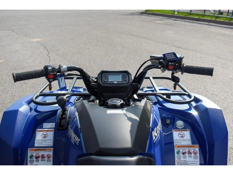 2025 Yamaha Kodiak 450 alt
