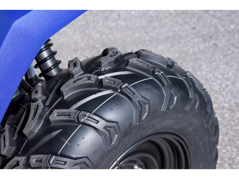 2025 Yamaha Kodiak 450 alt