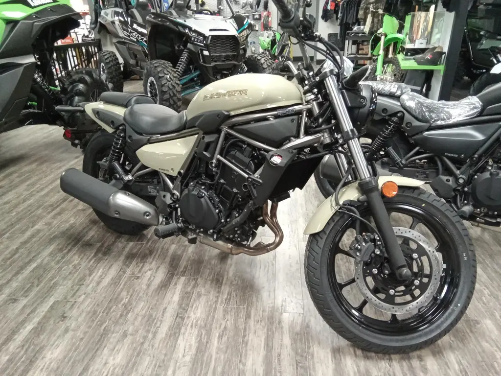 2025 Kawasaki ELIMINATOR
