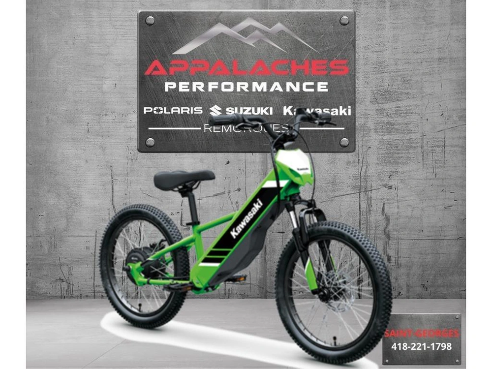 Kawasaki Elektrode 20 2025 alt