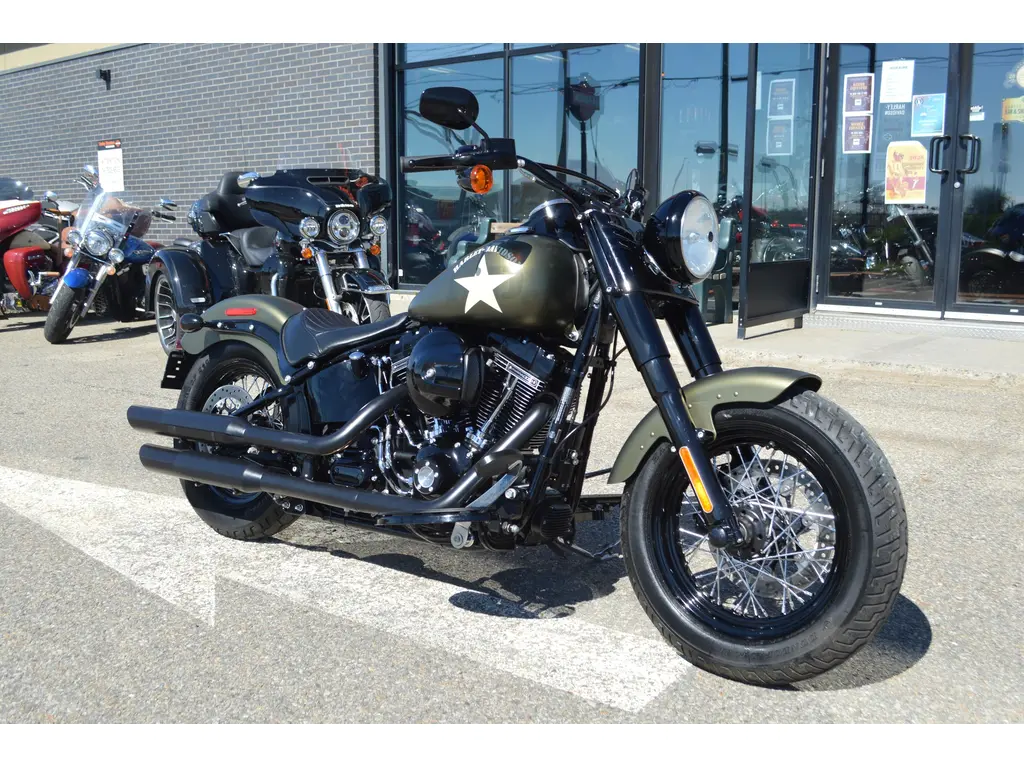 Harley-Davidson FLSS  2016
