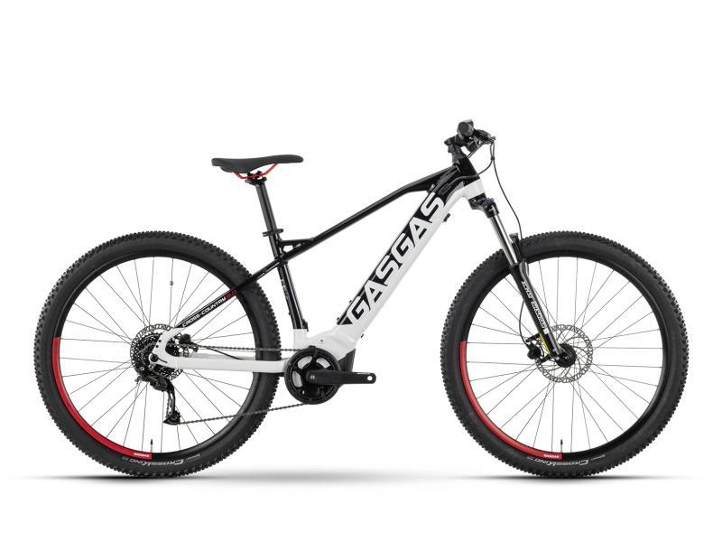 Gas Gas G Cross Country 2.0 Large 2025 alt