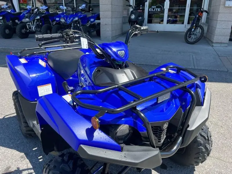 2025 Yamaha Grizzly 110