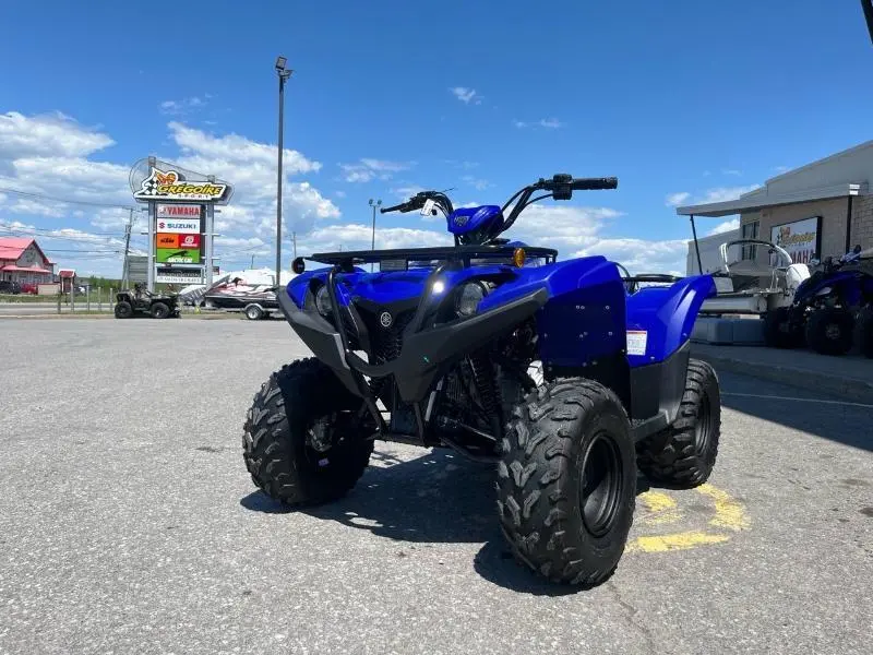2025 Yamaha Grizzly 110