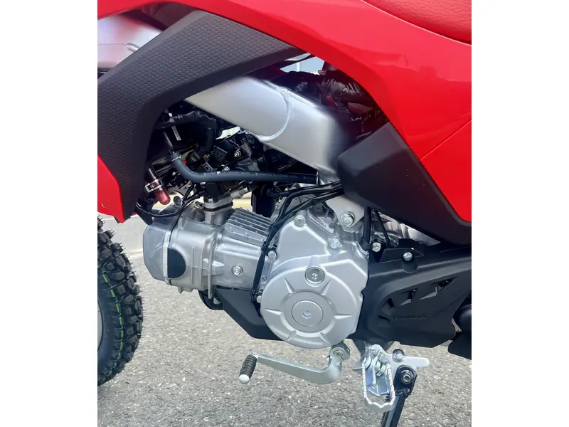 2025 Honda CRF110F thumbnail 6