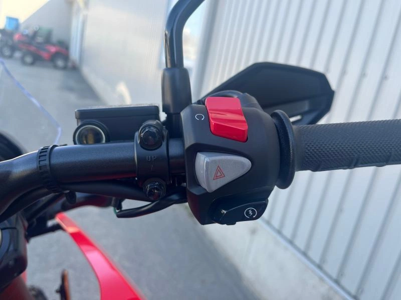 Honda Crf300l Rally Abs 2024 alt