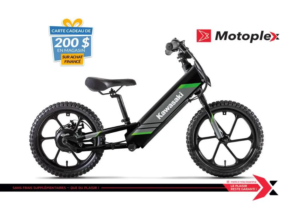 2025 Kawasaki ELEKTRODE 16