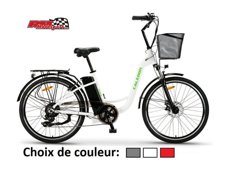 2024 Slane Caledon Vélo Électrique alt