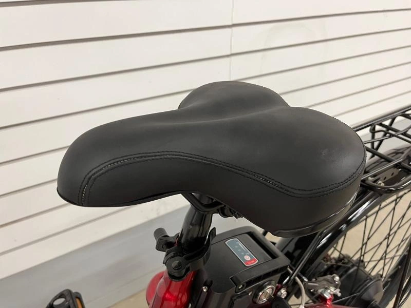 2024 Slane Caledon Vélo Électrique alt