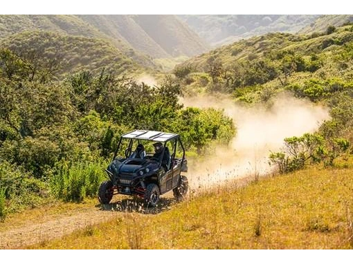 2025 Kawasaki Teryx S Le alt