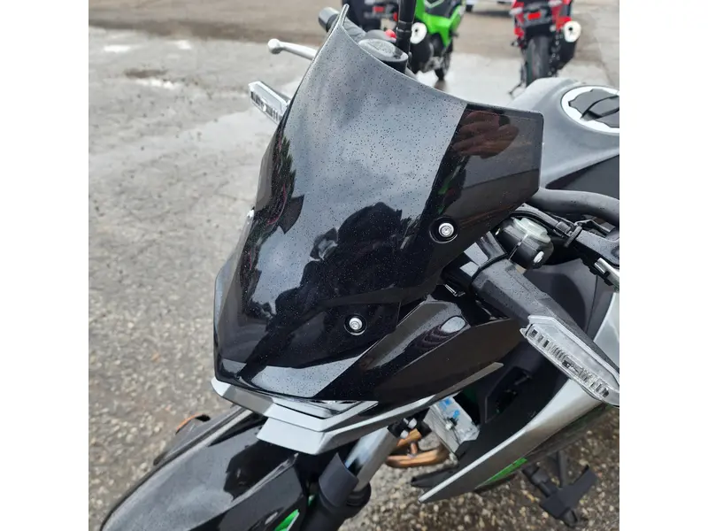 2025 Kawasaki Z500 SE