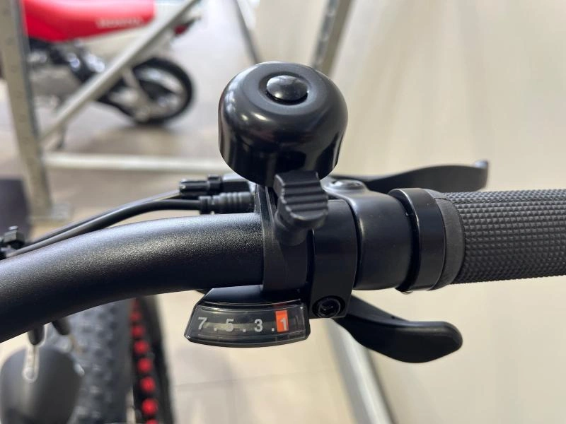 2024 Slane Santiago Fat 4.0 Vélo Électrique alt