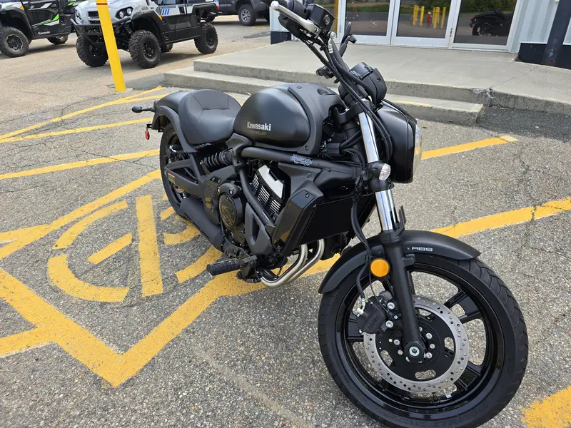 2025 Kawasaki EN650DSFNN